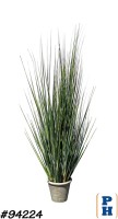 Fake Plant