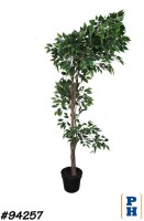 Fake Plant