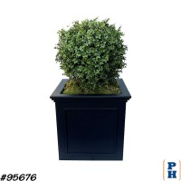 Fake Plant