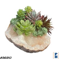 Rock with Succulents