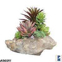 Rock with Succulents