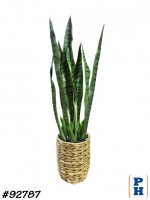 Fake Plant