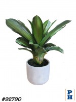 Fake Plant