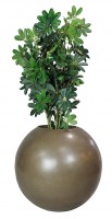 Planter - Vase