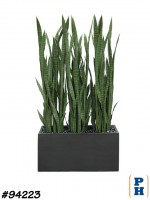 Fake Plant
