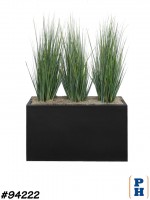Fake Plant