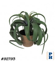 Fake Plant