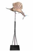 Weather Vane
