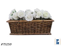 Fake Plant, Basket