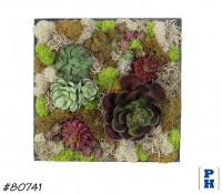 Wall Decor