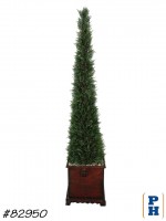 Topiary / Faux Plant