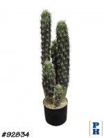 Fake Plant