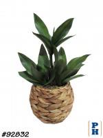 Fake Plant