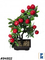 Fake Plant