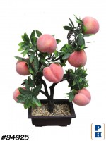 Fake Plant