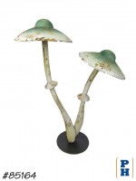Mushroom