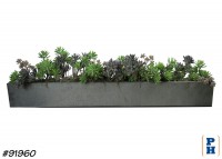 Planter with Succulents