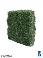 Boxwood Hedge