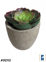 Fake Plant