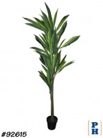 Fake Plant