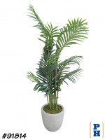 Fake Plant