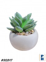 Fake Plant
