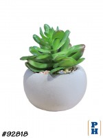 Fake Plant