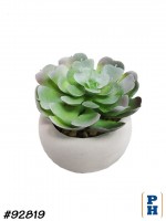 Fake Plant
