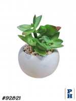 Fake Plant