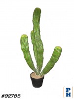 Fake Plant