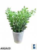 Fake Plant