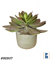 Fake Plant
