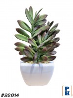 Fake Plant