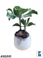 Fake Plant