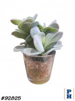 Fake Plant