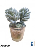 Fake Plant