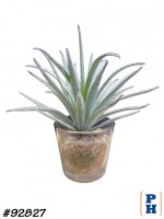 Fake Plant