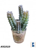 Fake Plant