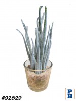 Fake Plant
