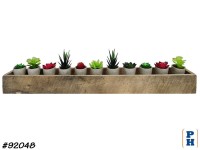 Planter with Succulents