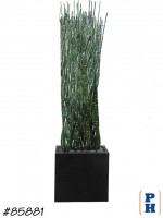 Fake Plant