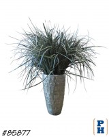 Fake Plant
