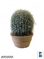 Fake Plant