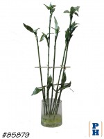 Fake Plant