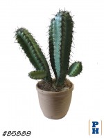 Fake Plant