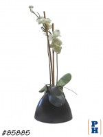 Fake Plant