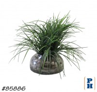 Fake Plant