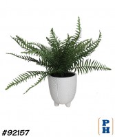 Fake Plant
