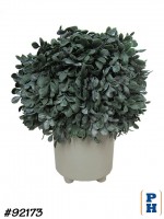 Fake Plant