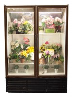 flower shop refrigerator